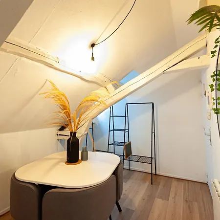 Le Loft - En Hypercentre - Cathedrale