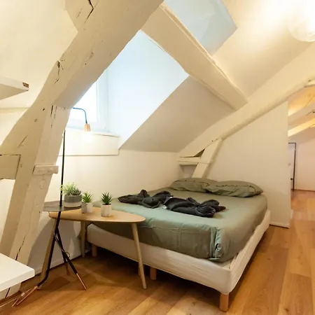 아파트 Le Loft - En Hypercentre - Cathedrale *